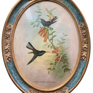 dessin encadré de colibri