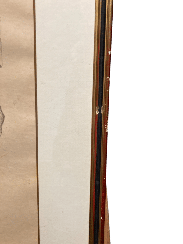 dessin portrait encadré signé M. Rouvier
