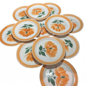 12 assiettes plates décor mougins Gien
