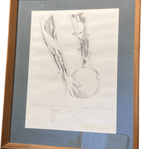 dessin anatomiste P. REIGNER