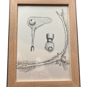 dessin abstrait encadré