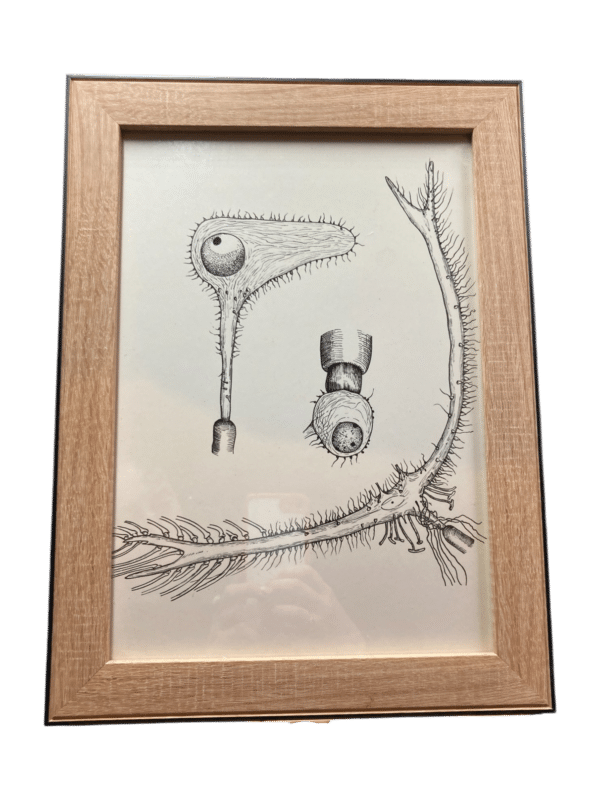 dessin abstrait encadré