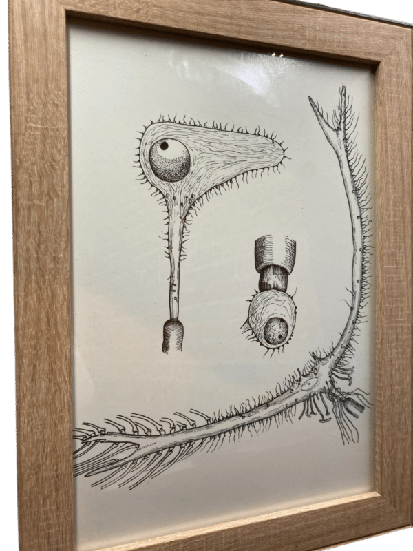 dessin abstrait encadré