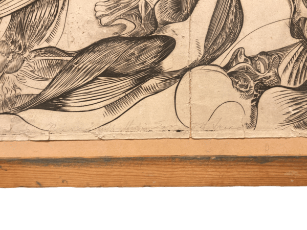 dessin contrecollé sur mica