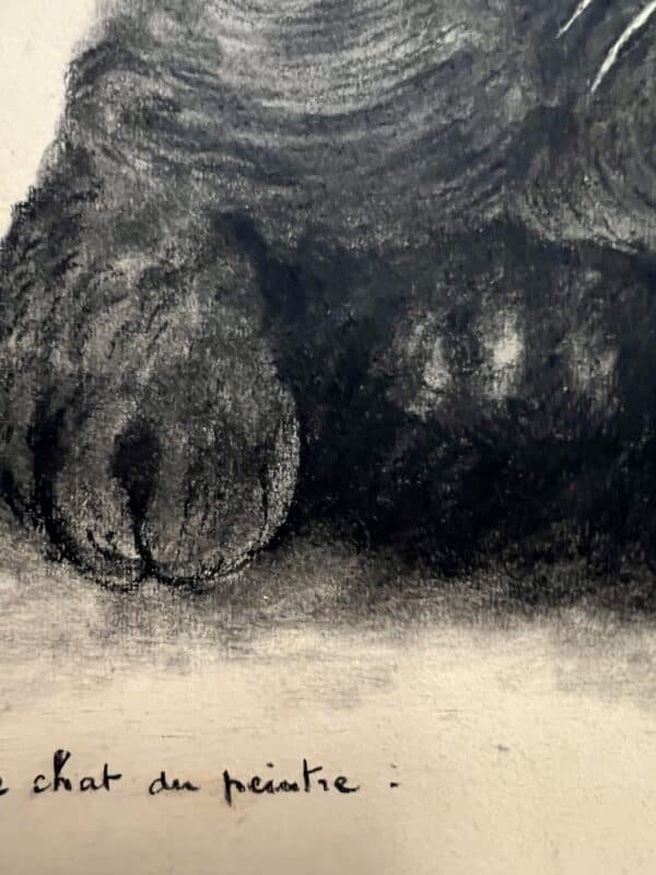 dessin le chat de l'artiste A Jouve