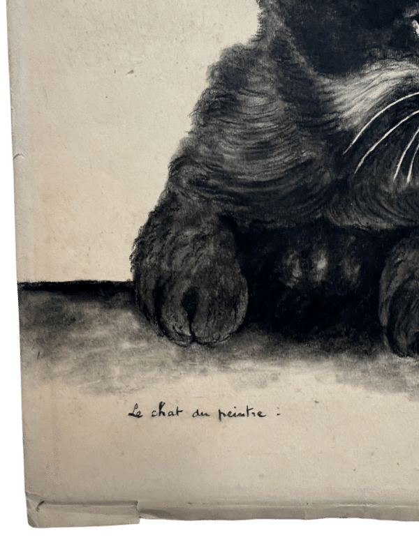 dessin le chat de l'artiste A Jouve