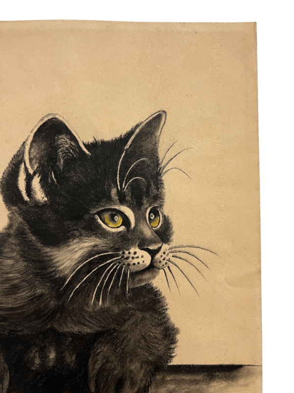 dessin le chat de l'artiste A Jouve