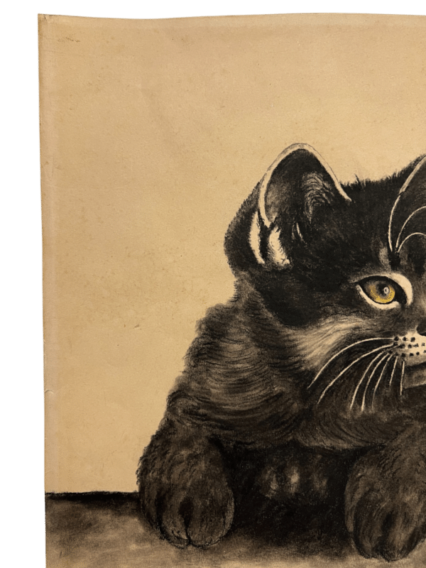 dessin le chat de l'artiste A Jouve
