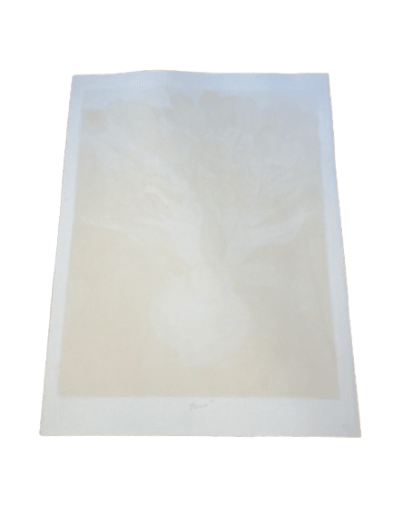 lithographie pierre boncompain