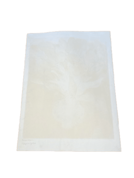 lithographie pierre boncompain