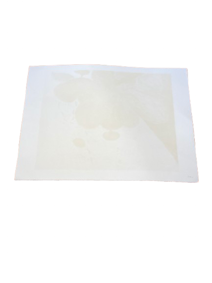 lithographie pierre boncompain (3) lithographie pierre boncompain