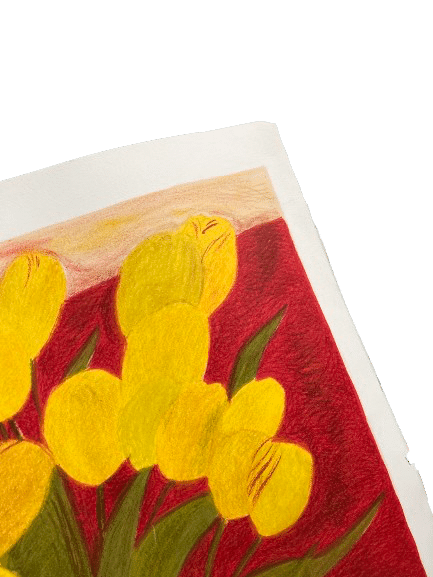 lithographie pierre boncompain