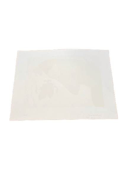 lithographie pierre boncompain