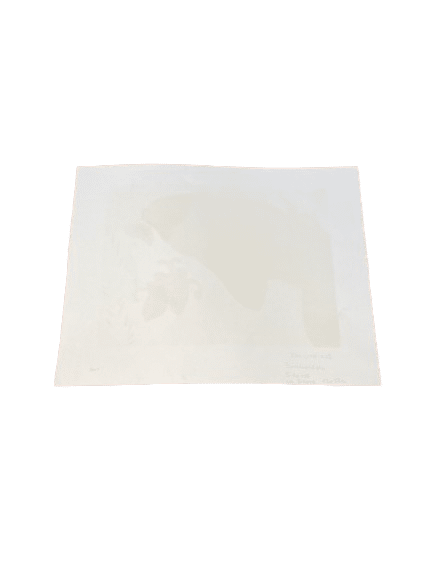 lithographie pierre boncompain