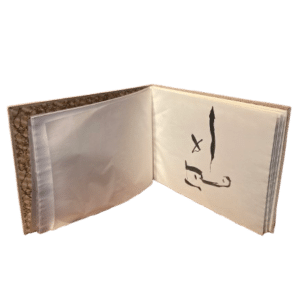 recueil oeuvres claire grassin